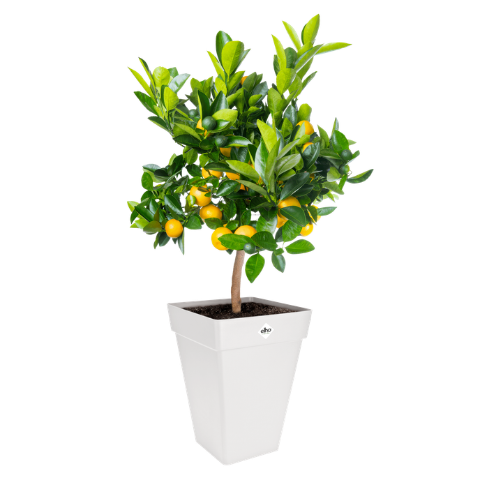 loft urban carré haut 37cm blanc